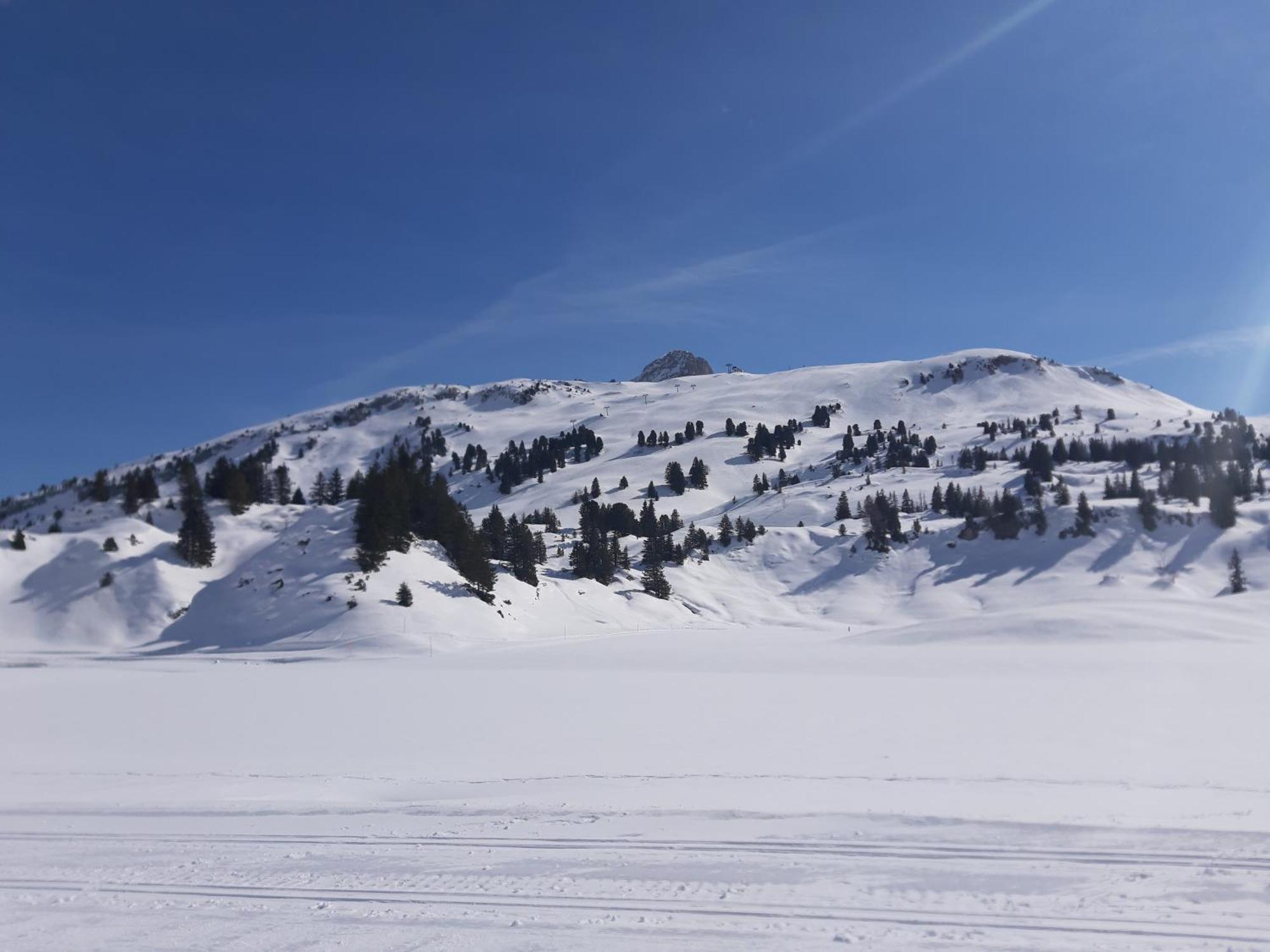 Berghof Ferienhaus Villa Schröcken Exteriör bild