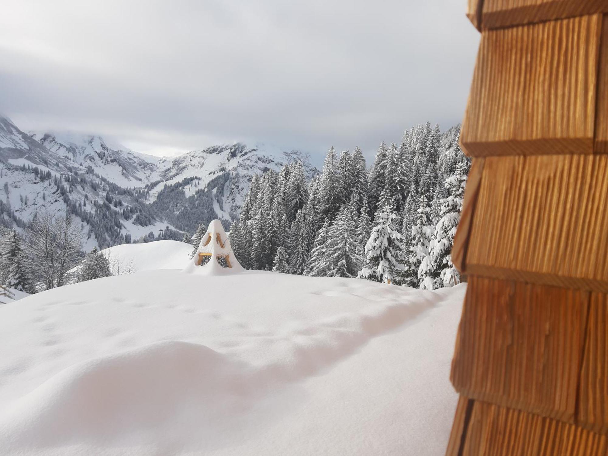 Berghof Ferienhaus Villa Schröcken Exteriör bild