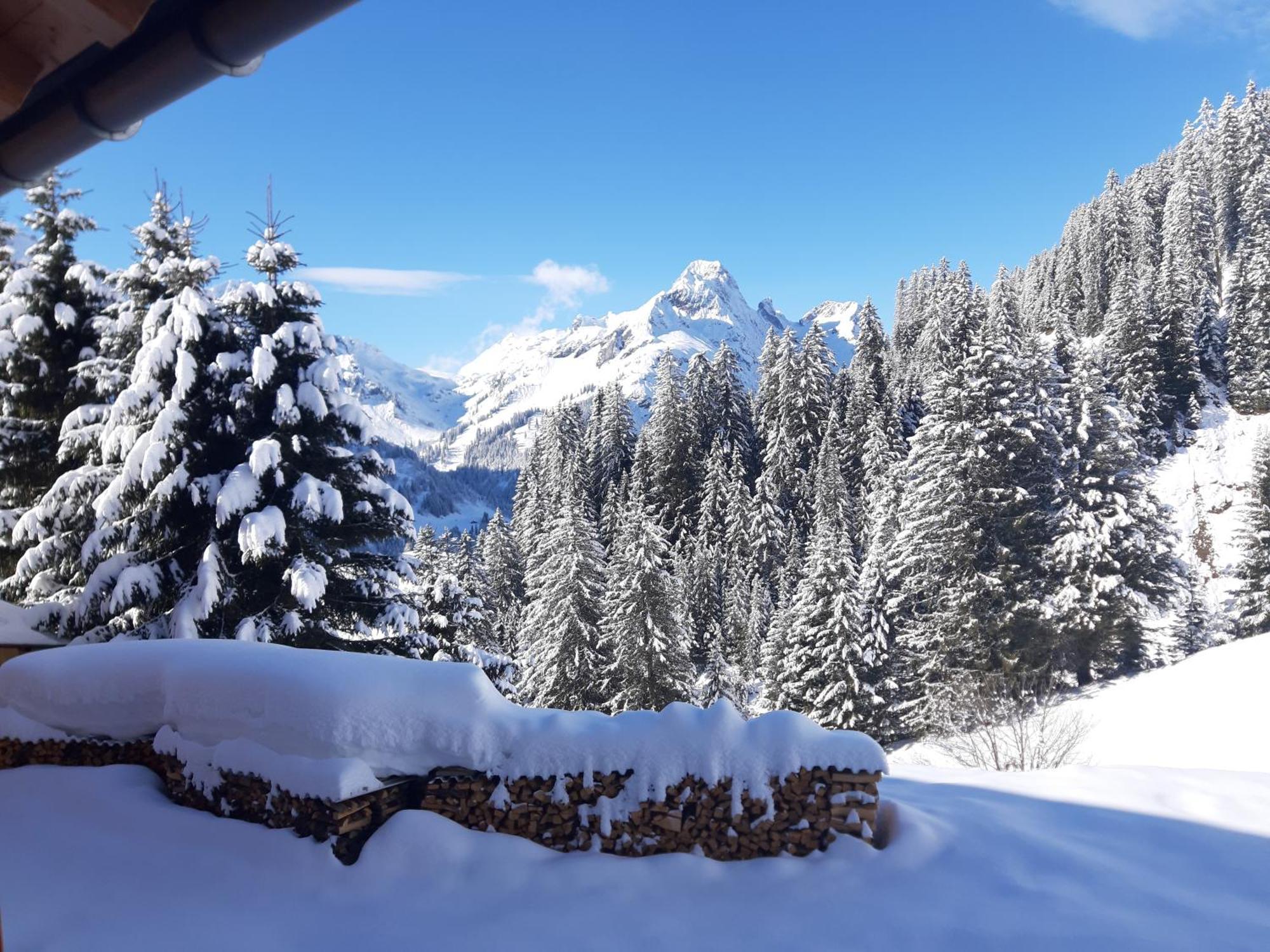 Berghof Ferienhaus Villa Schröcken Exteriör bild