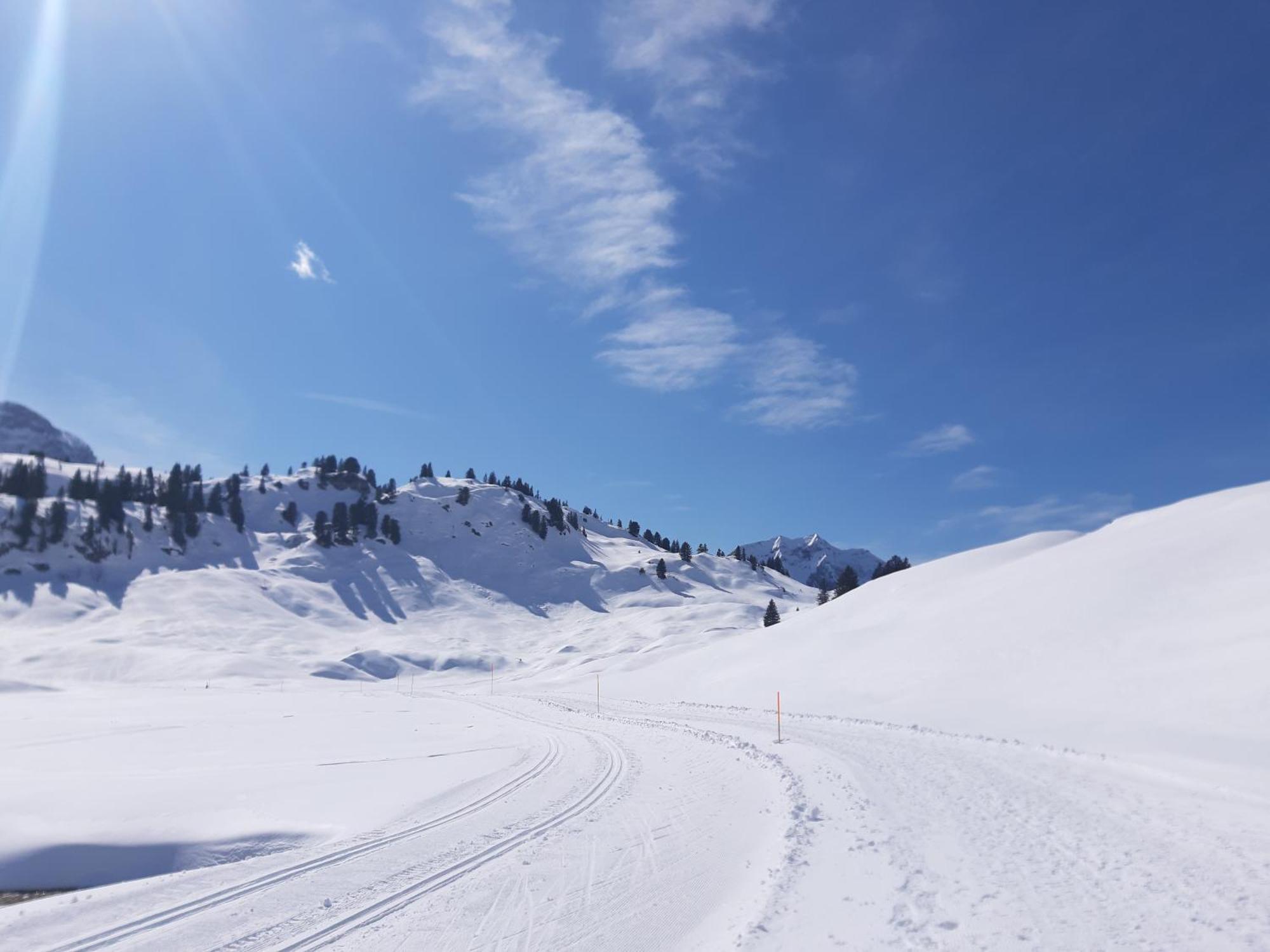 Berghof Ferienhaus Villa Schröcken Exteriör bild