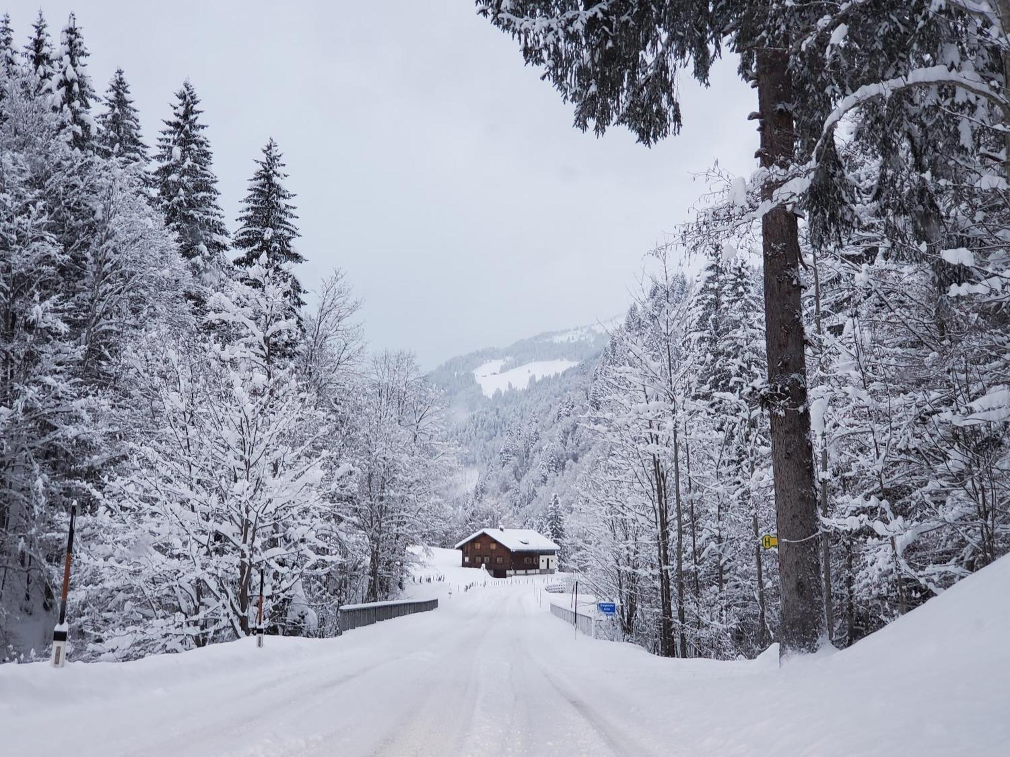 Berghof Ferienhaus Villa Schröcken Exteriör bild