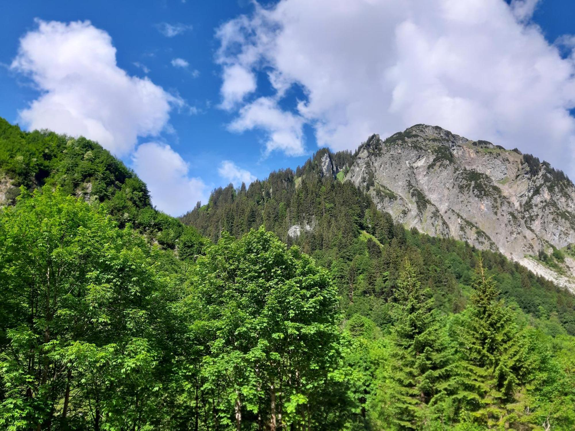 Berghof Ferienhaus Villa Schröcken Exteriör bild